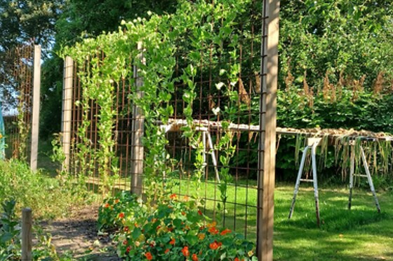 Brovst Bed & Breakfast - photo 7