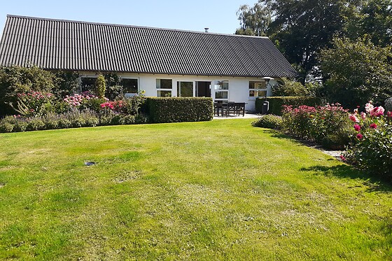 Brovst Bed & Breakfast - photo 5