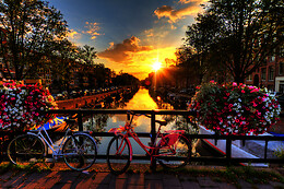 Hotels Online