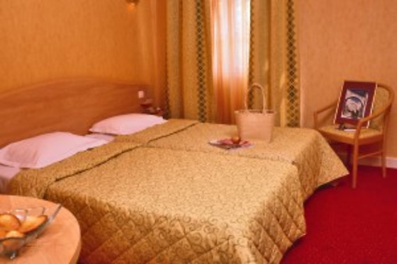 Best Western Hôtel Pont d'Or - photo 3