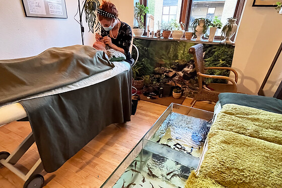 Skønhed og Fiskespa af Sabrina - photo 1