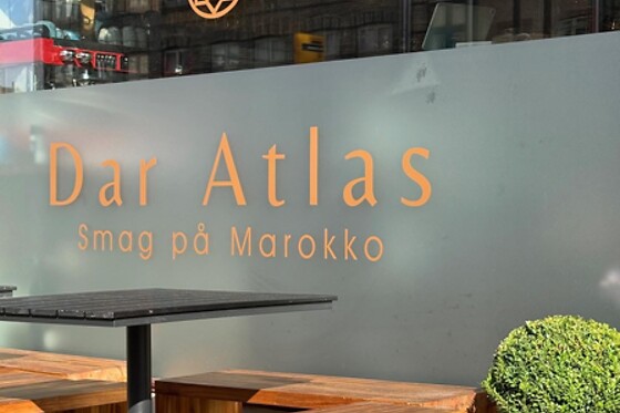 Dar Atlas - photo 5