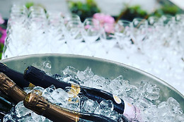 Champagne Guru