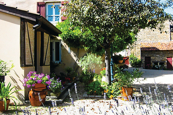 Clos de l'Eglise - photo 6