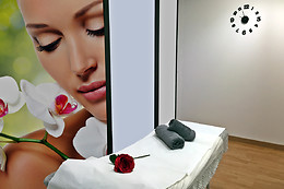 BEAUTY & WELLNESS CENTER SANTS