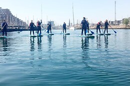 Surf agency