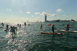 Surf agency