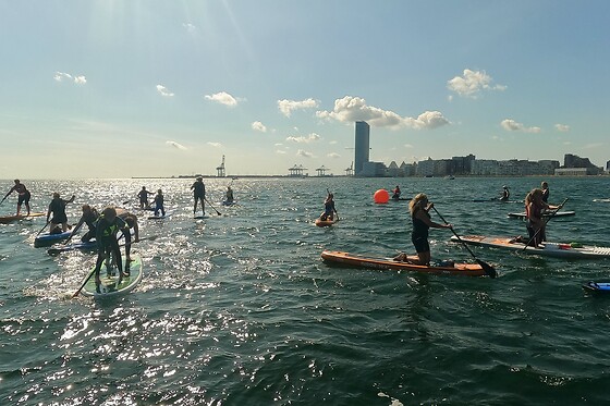 Surf agency - photo 1