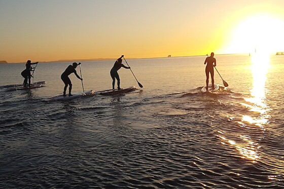 Surf agency - photo 4