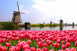 Hotels Online