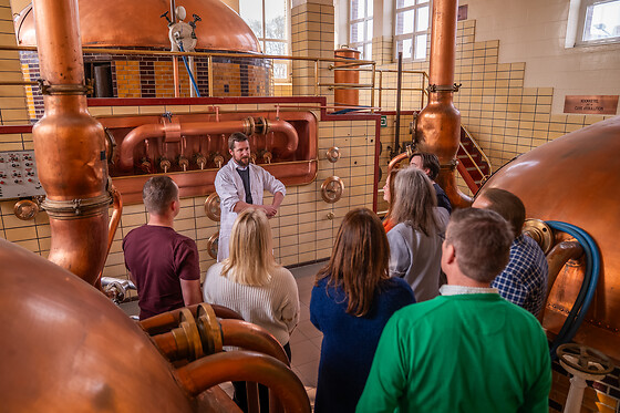 Brouwerij Roman - photo 1
