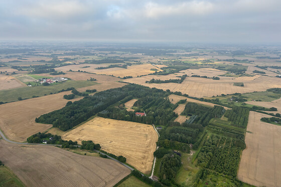 DreamBalloon ApS - photo 6