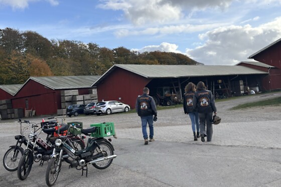 Puchtours - photo 8