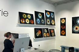 IrisGalerie Vimmelskaftet