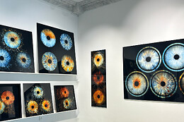 IrisGalerie Vimmelskaftet