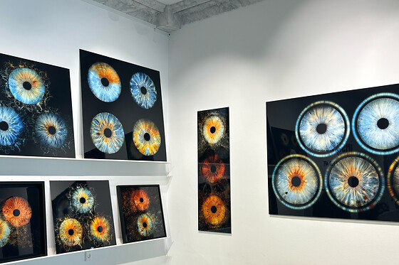 IrisGalerie Vimmelskaftet - photo 0