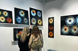 IrisGalerie Vimmelskaftet