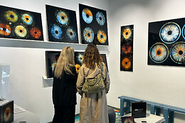 IrisGalerie Vimmelskaftet