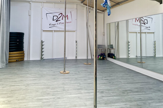 D2M Ragga & Pole Dance - photo 0