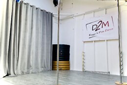 D2M Ragga & Pole Dance
