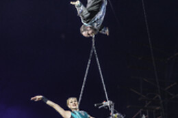 Cirkus Arena