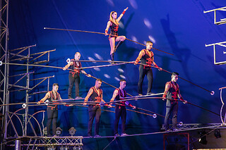 CIRKUSLAND BILLETTER FOR 4