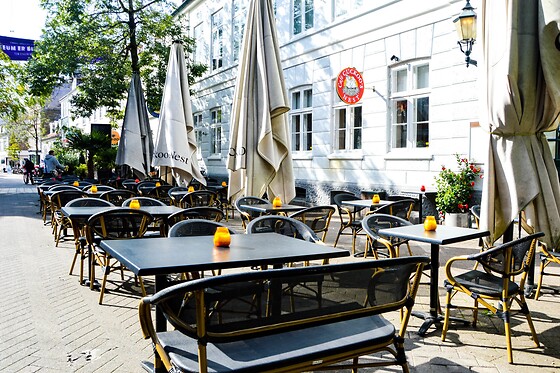 Café Cuckoo's Nest - photo 8