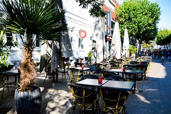 Café Cuckoo's Nest - photo 5